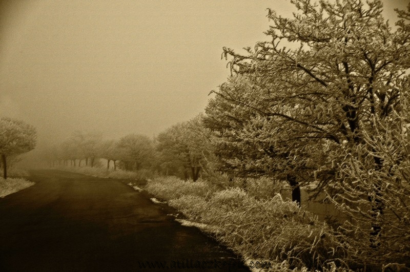 my foggy road 1- ATI_6322