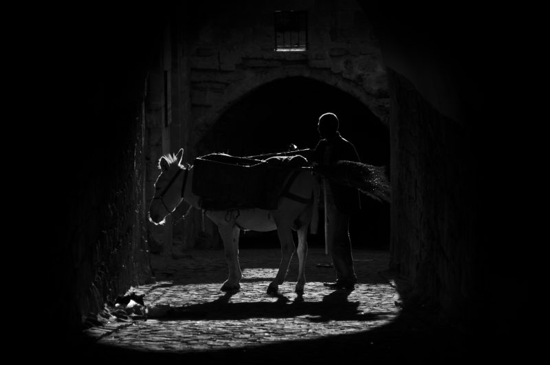 trash collection  - Mardin ATI_3693